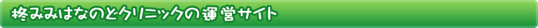 柊みみはなのどクリニックの運営サイト